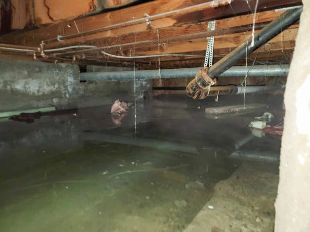 Best Emergency water damage restoration  in Burns Harbor, IN