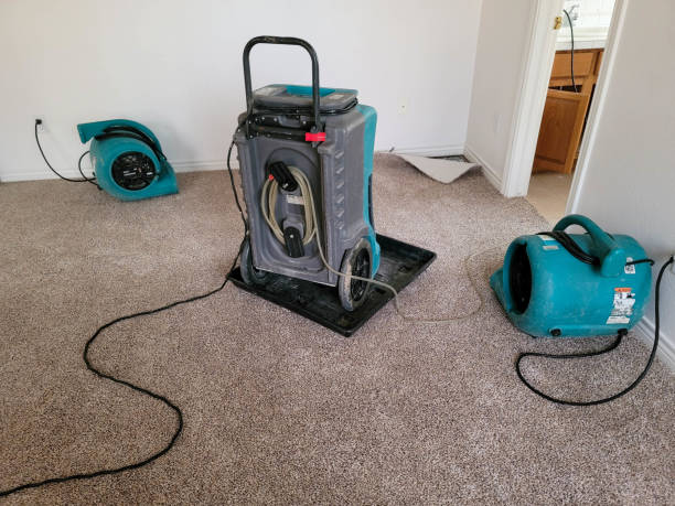 Best Carpet water damage restoration  in Burns Harbor, IN