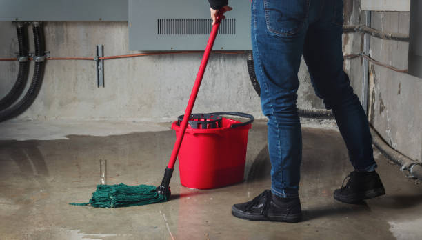 Best Water damage contractors near me  in Burns Harbor, IN