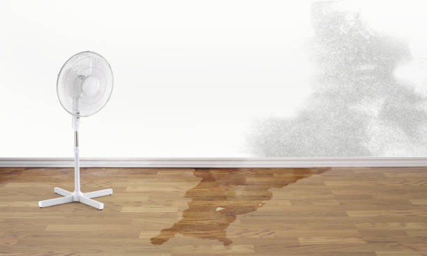 Carpet water damage restoration in Burns Harbor, IN
