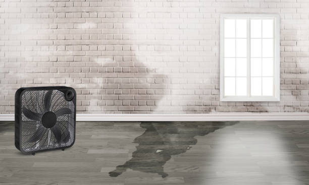 Local water damage restoration in Burns Harbor, IN