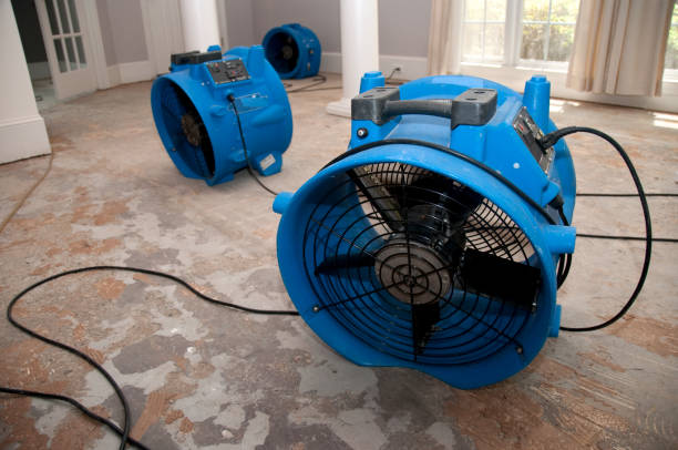 Best Professional water damage repair  in Burns Harbor, IN