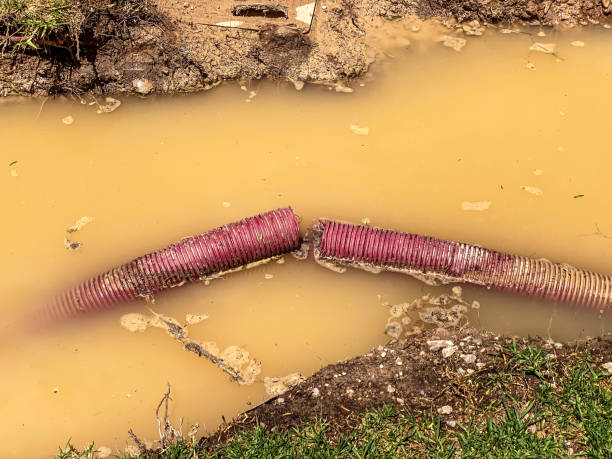 Best Emergency water damage restoration  in Burns Harbor, IN