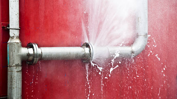 Best 24/7 water damage repair  in Burns Harbor, IN